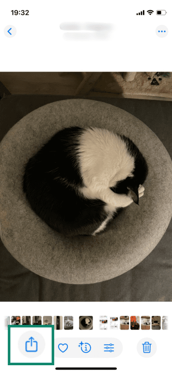 Sharing a photo on iPhone.