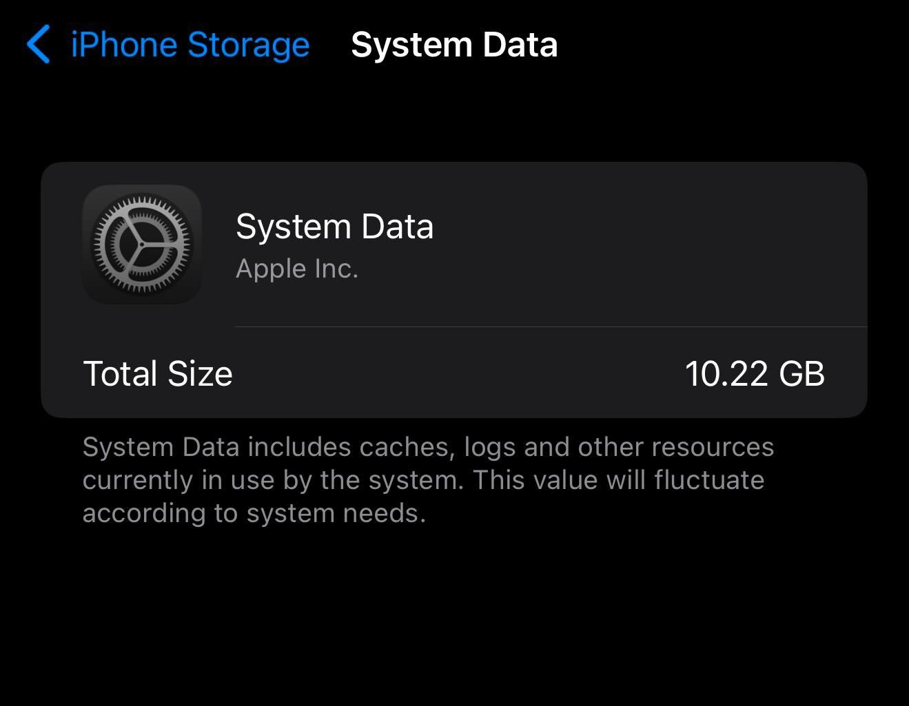 System Data On Iphone