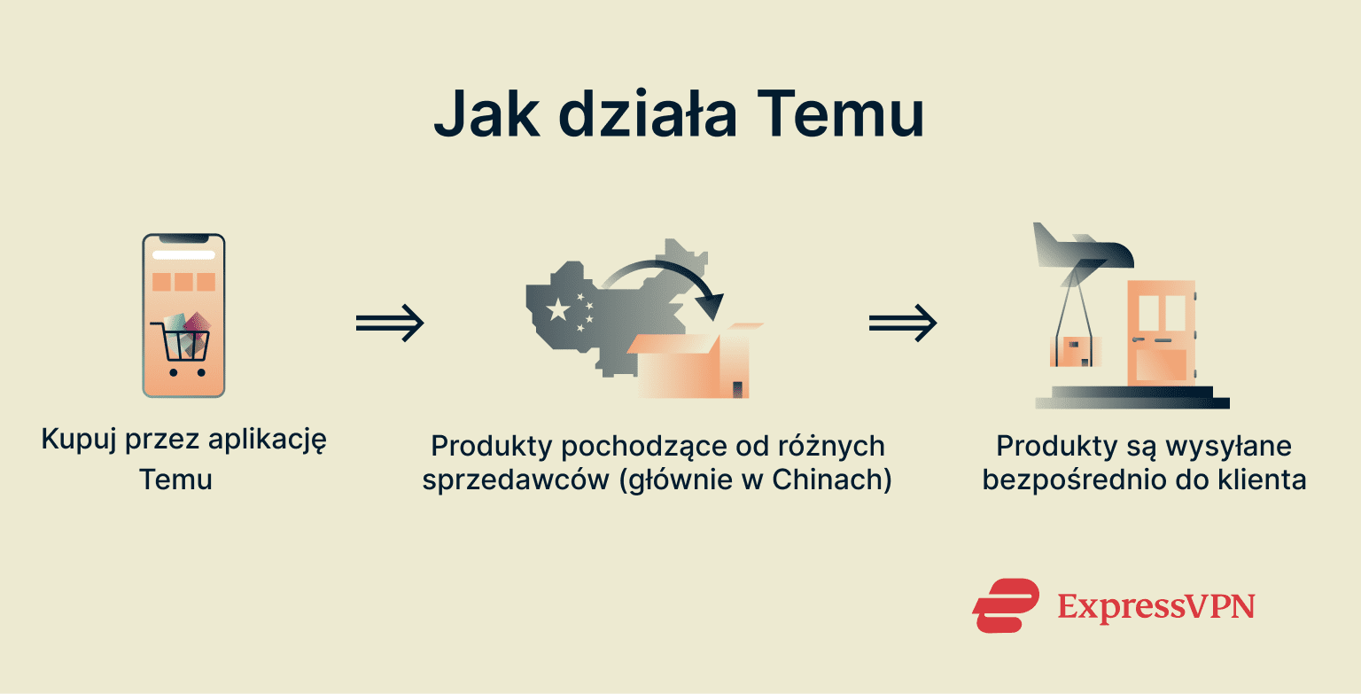 Infographic showing how Temu works