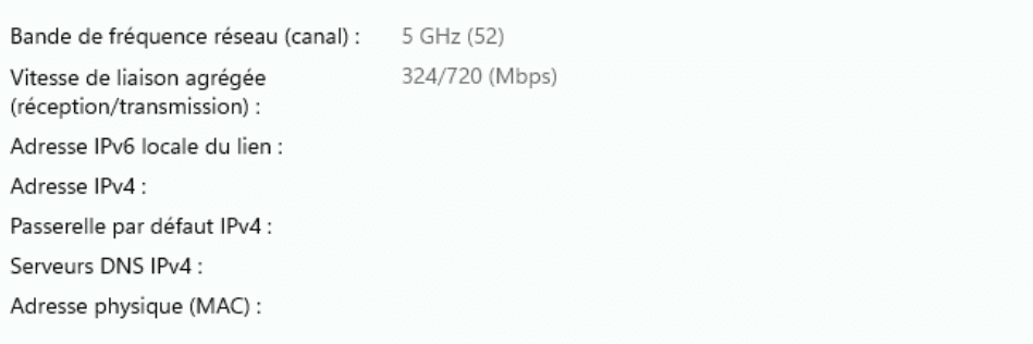 Part of the network properties page, showing the router as the primary DNS server.