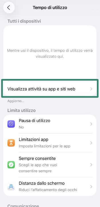 Screen Time menu with See All App & Website Activity option.