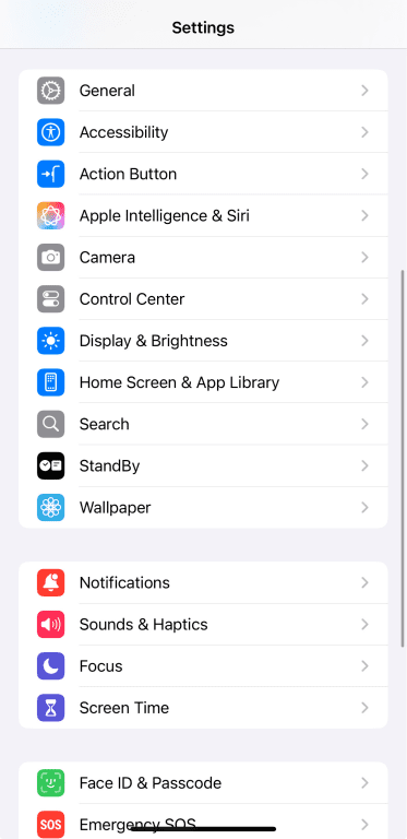 iOS settings menu.