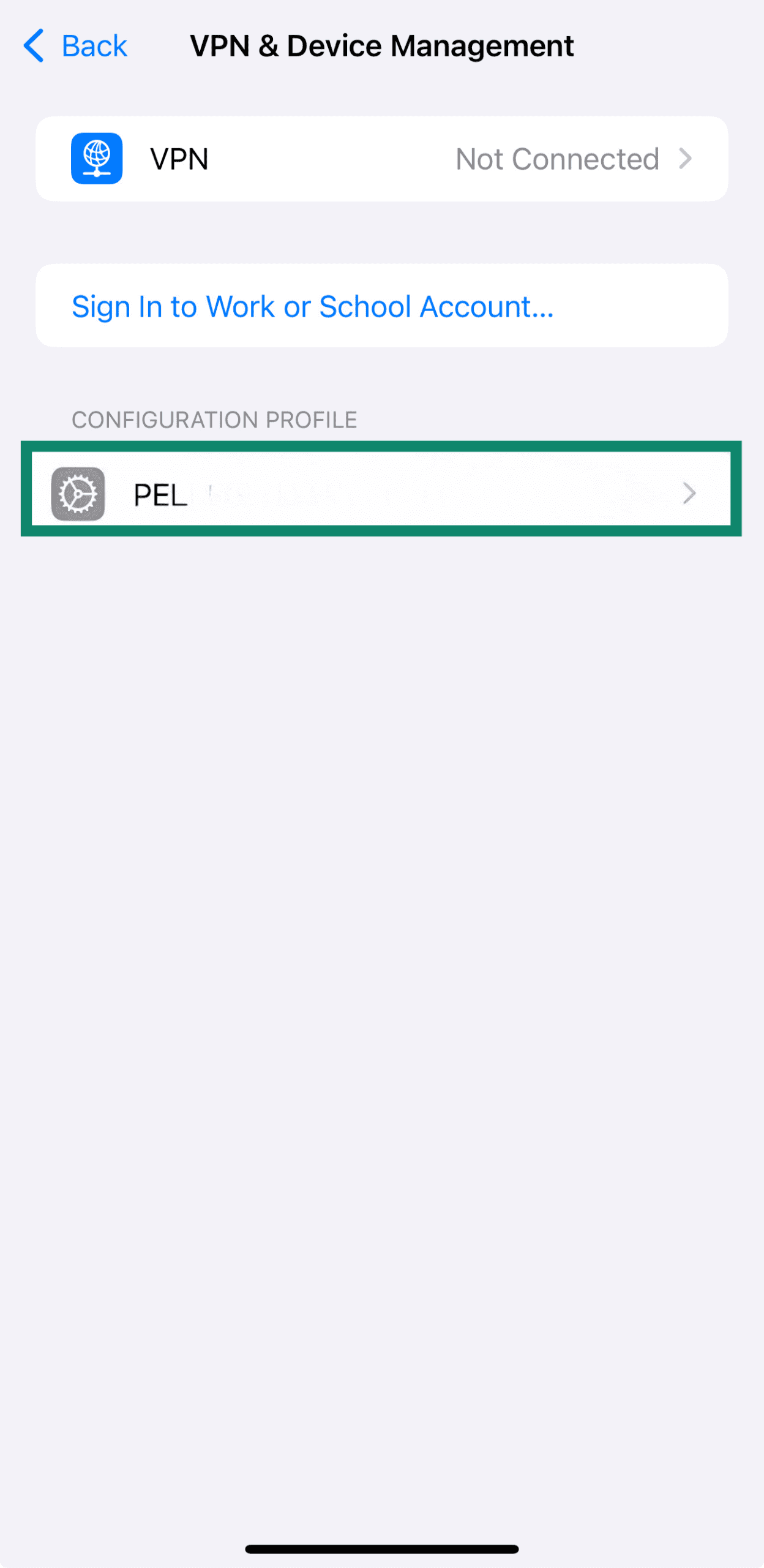 An iPhone's list of profiles with restrictions.