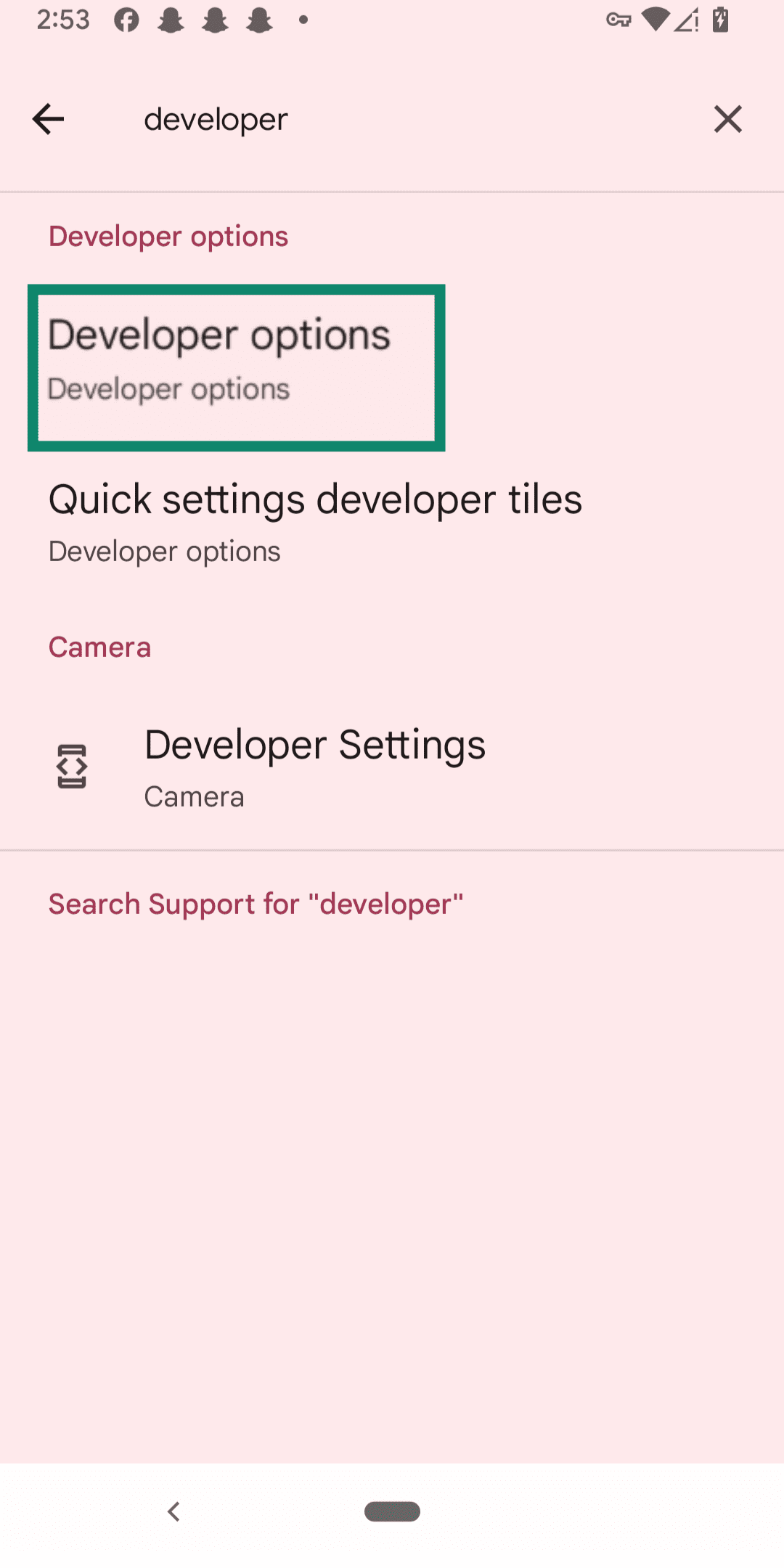 An Android screen showing the Developer options.