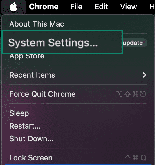 Mac display showing the System Settings button.