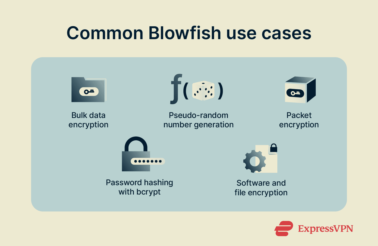 Blowfish Encryption Common Blowfish Use Cases