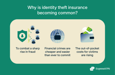 A brief explanation of why ID theft insurance is common.