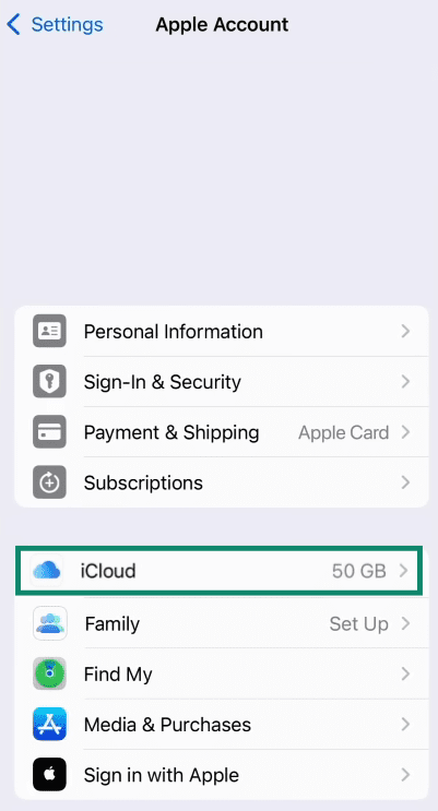 The Apple Account page of the Settings, showing the iCloud menu option.