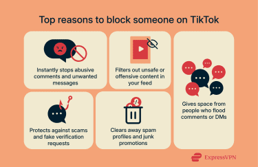 Visual showing the top reasons to block someone on TikTok.