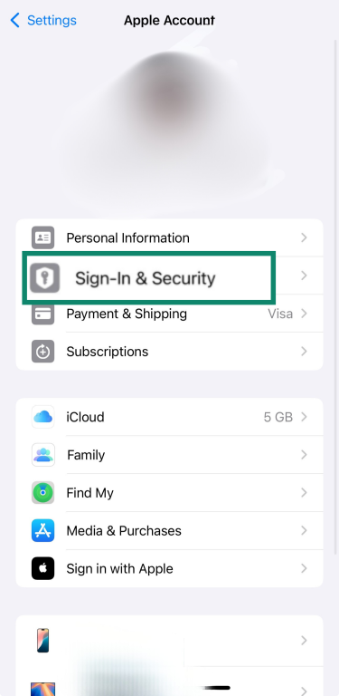 Apple Account settings highlighting Sign-In & Security option.