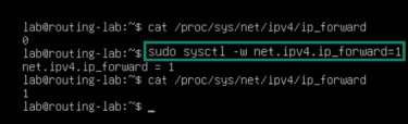 Command to enable IPv4 forwarding state.