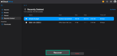 Recovering a file from iCloud Drive.