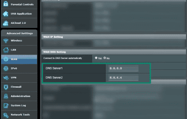 Router panel with WAN DNS Settings open and DNS Server 1 and DNS Server 2 highlighted.
