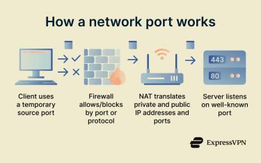 Visual showing how network ports help data reach its destination.